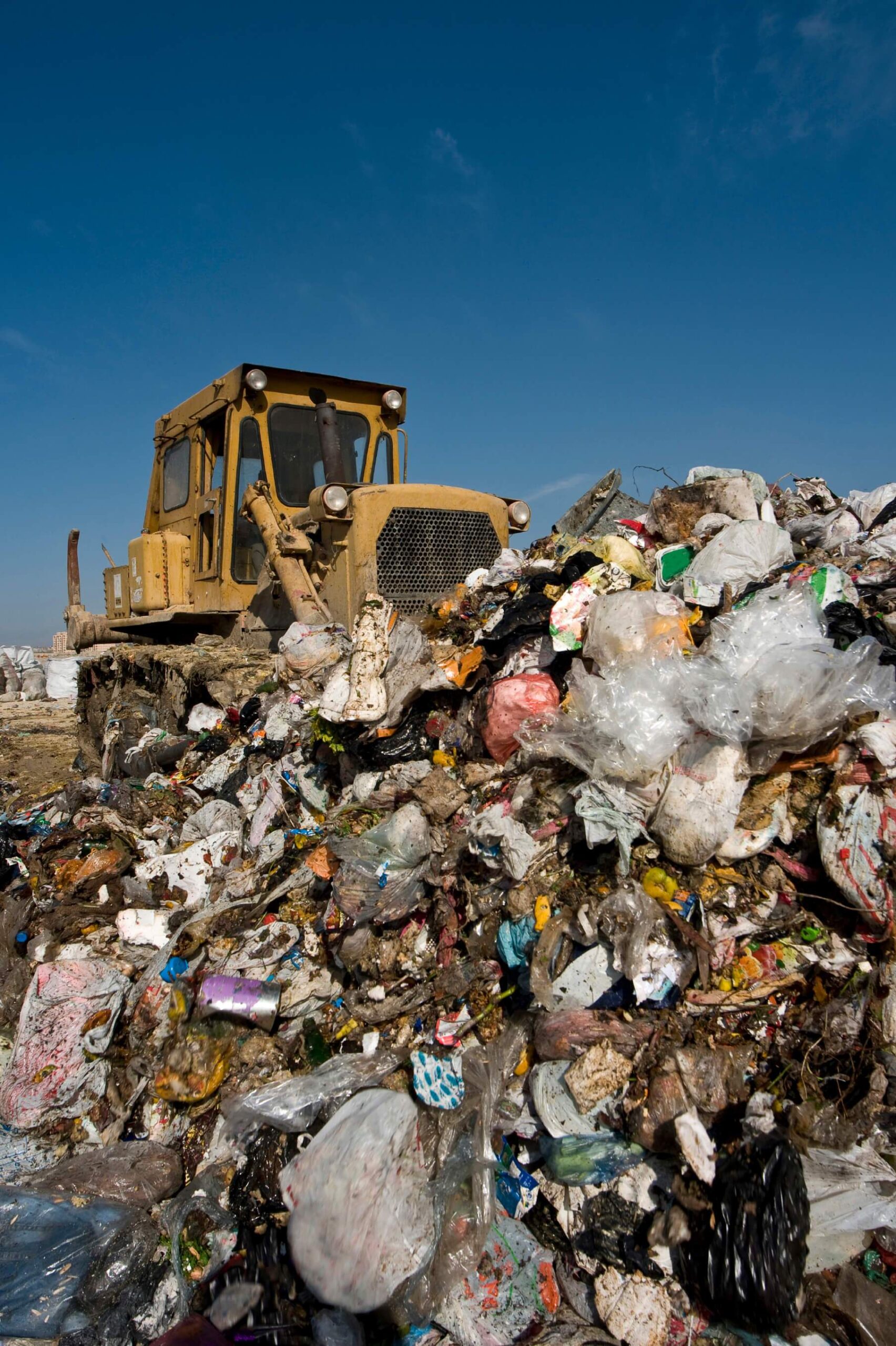 What are the new recycling rules in Durham (2026)?